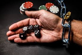 DBbet Casino